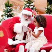 A roundup of festive events for the family this year.