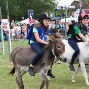The Donkey Derby in 2019 Image credit - Jim Watts