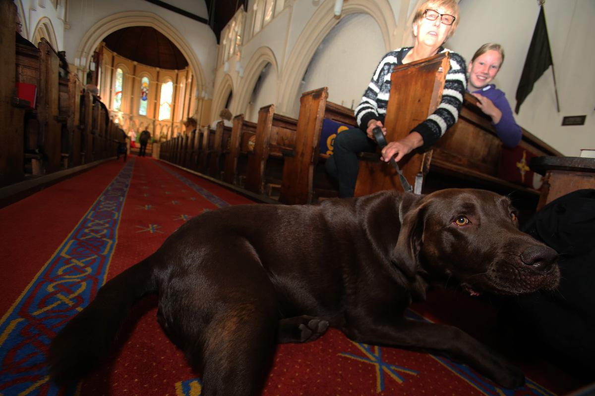 Trinity church pet blessing, open garden at Hurst House, the Woodford Wheezards and artists