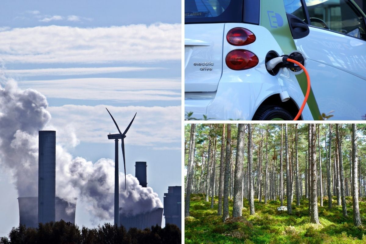 Online dashboard would show Essex's climate change progress - Vimarsana News