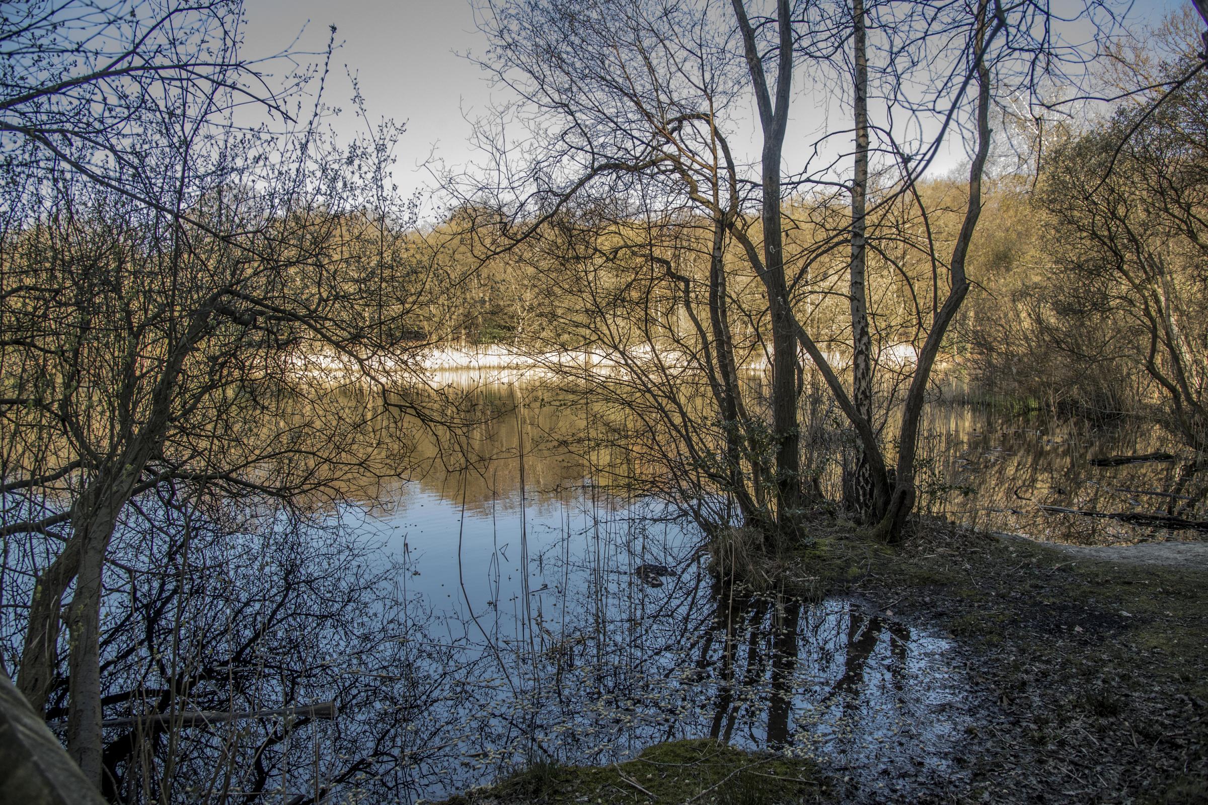 Wake Valley pond in Epping Forest following the discovey of a body. Photo: PA