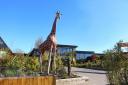 Site - Historic England claimed that Colchester Zoo’s expansion plan and Tarmac’s plans to extract 500,000 tonnes of sand could harm the historic Gryme’s Dyke