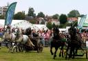 The Epping Forest Festival had been attended by crowds of up to 12,000 people