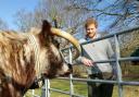 Prince Harry getting up close and personal with animals in the forest