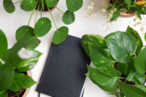 Epping Forest Guardian: A black notebook surrounded by indoor plants. Credit: PA