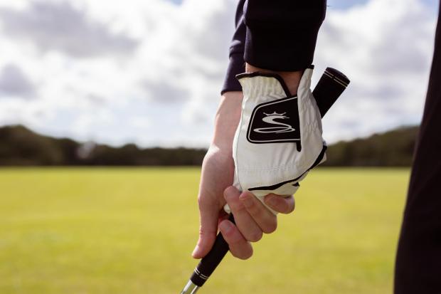 Epping Forest Guardian: Cobra Golf Flex Cell Glove. Credit: American Golf