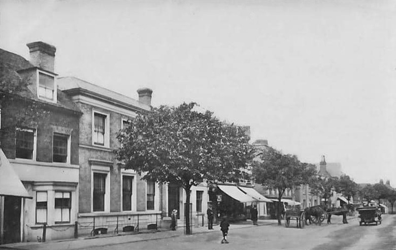 A view of High Road, Epping, from the early 1920s.Many of the buildings, remain including Whiskers the solicitors at no. 265 (with basement) which has occupied the building since the 1950s.Originally known as Trotter & Sons, their history goes back over
