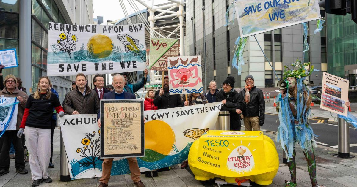 Government agency failed to protect major river from chicken waste, court hears - Vimarsana News