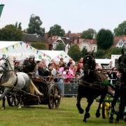 The Epping Forest Festival had been attended by crowds of up to 12,000 people