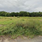 Land between Bedwell Road, Elsenham and the M11. Photo: Google