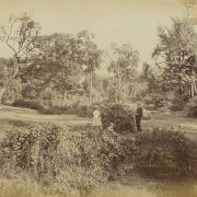 Exploring High Beech Glades in Epping Forest in a photograph from 1875. Photo: City of London Corporation