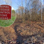 Epping Forest/Animal Disease Control Zone sign